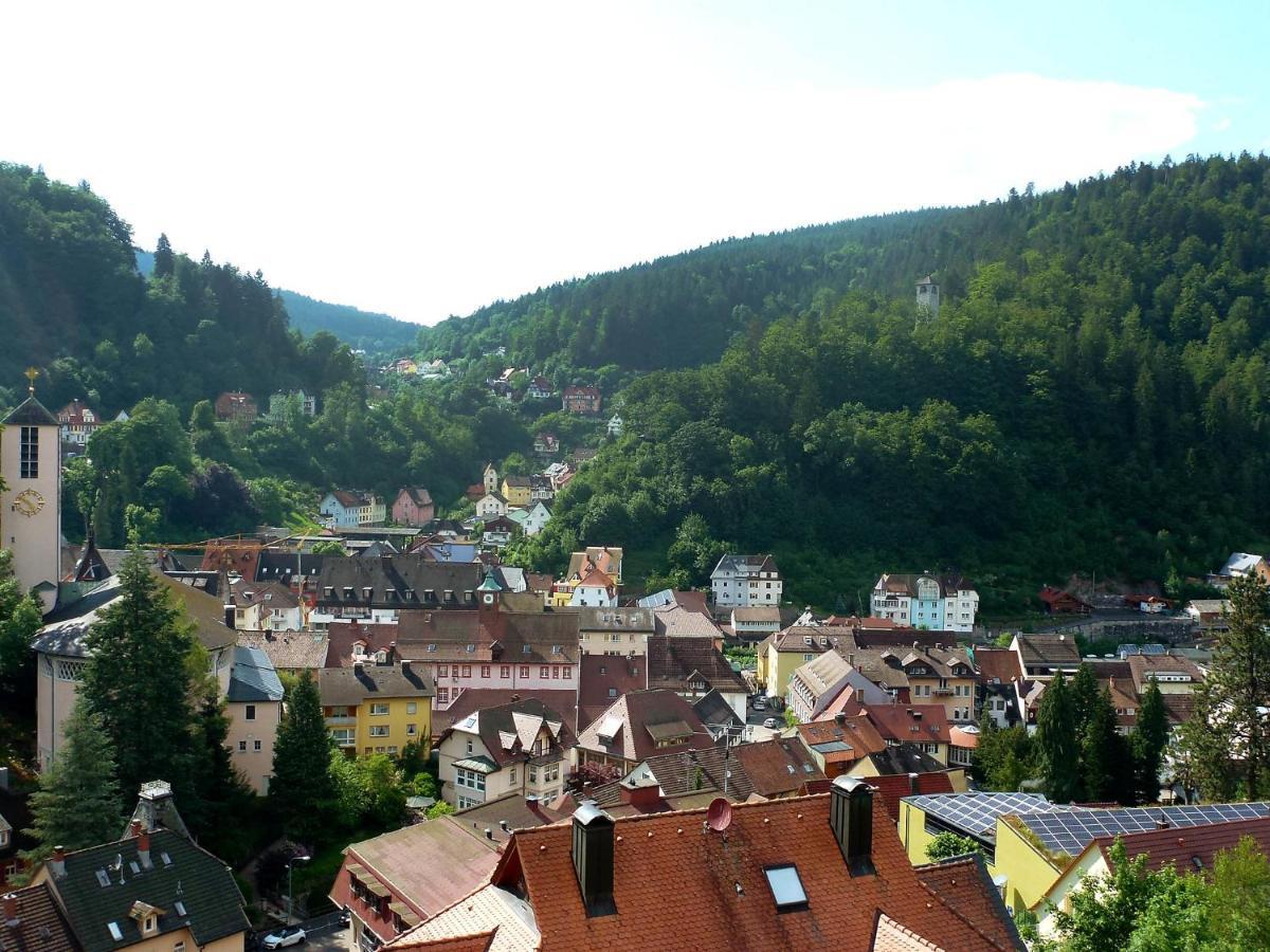 Apartment Maier-2 By Interhome Triberg im Schwarzwald Dış mekan fotoğraf