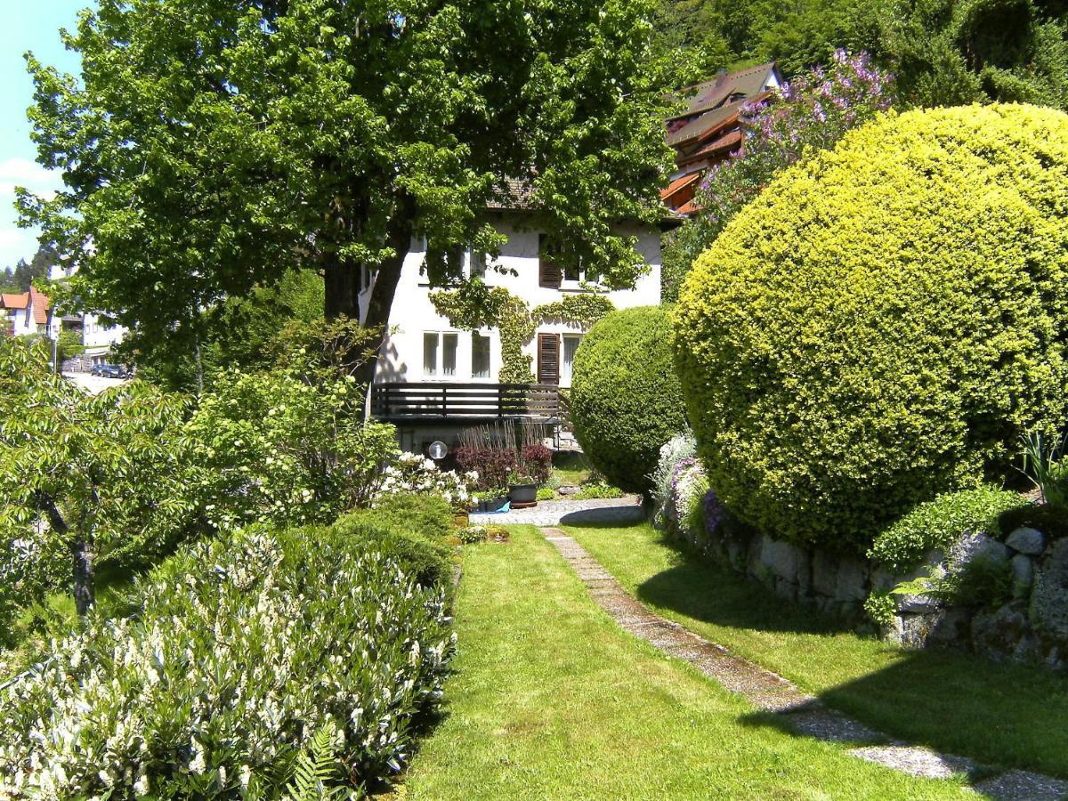 Apartment Maier-2 By Interhome Triberg im Schwarzwald Dış mekan fotoğraf